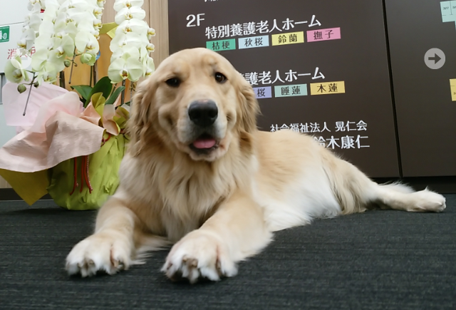 キャプチャ