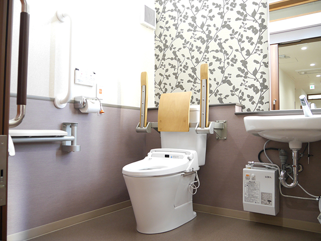 toilet1